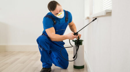 4 factors to choose the top pest control service