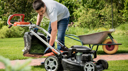 Lawn care services &#8211; Top providers and tips to choose one