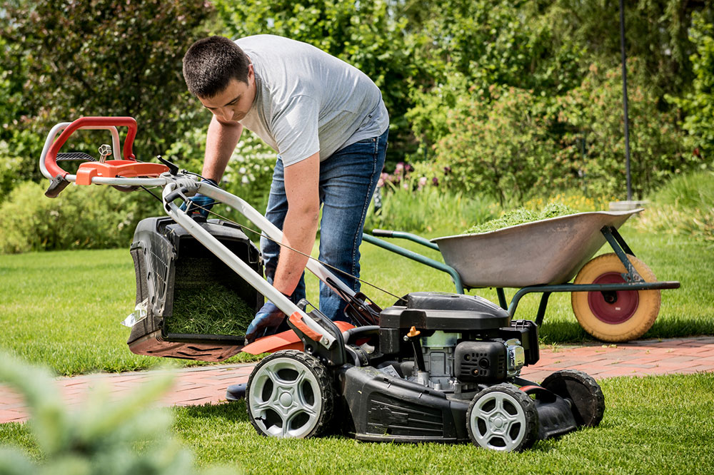 Lawn care services &#8211; Top providers and tips to choose one