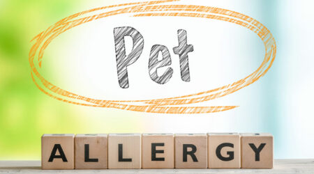 The best treatment options for pet allergy