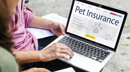 Top 5 pet insurance providers of 2021