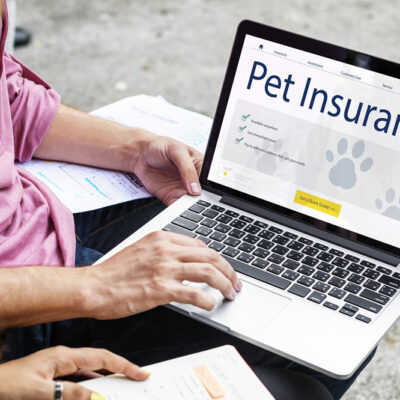 Top 5 pet insurance providers of 2021