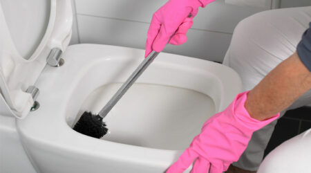 Toilet cleaners &#8211; Best options and DIY solutions