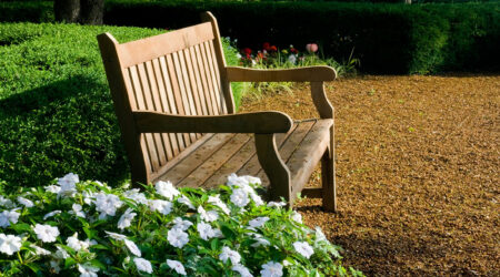 7 types of benches to know about