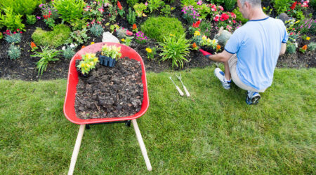 Top 6 ideas for garden landscaping