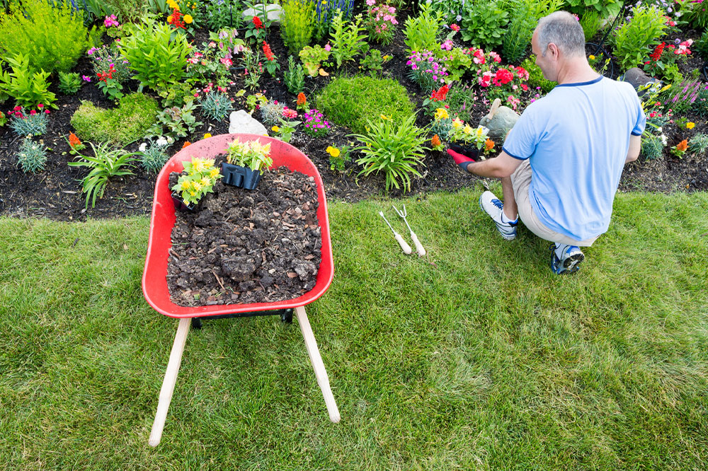 Top 6 ideas for garden landscaping