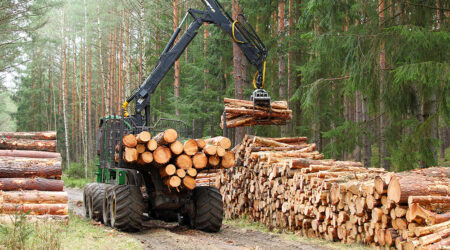 Common tools and equipment used in forestry and logging