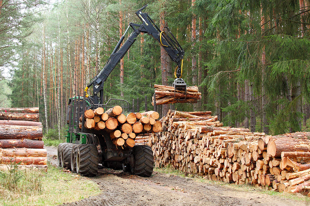 Common tools and equipment used in forestry and logging