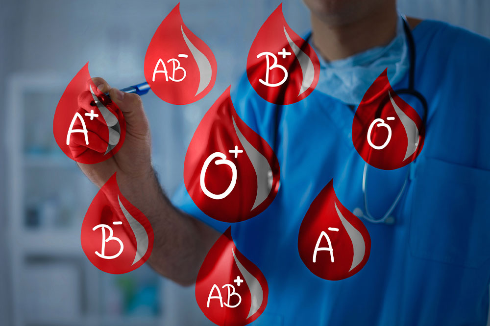 Discover different blood types and their features