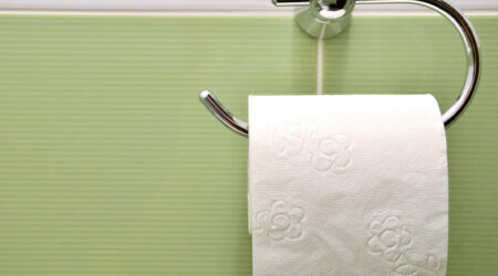 Toilet roll holders &#8211; Top brands, price, and more