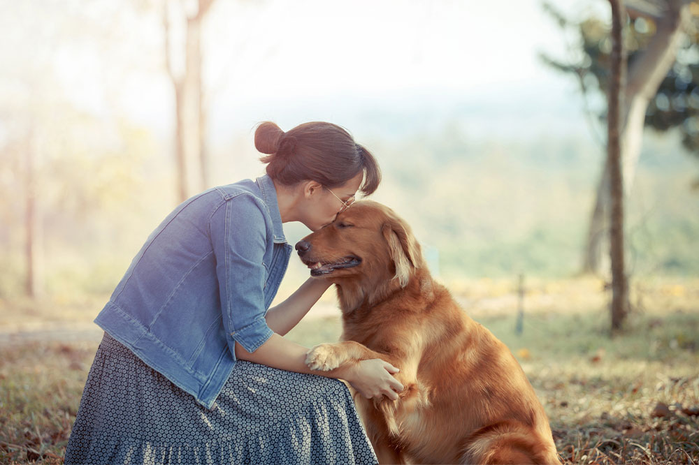 Registering a service dog and an emotional support dog